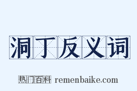 洞丁反义词是什么意思的图片